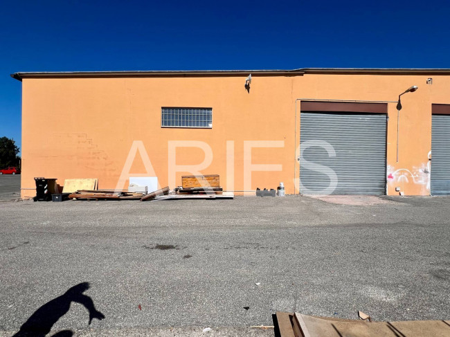 Capannone in affitto a Roma