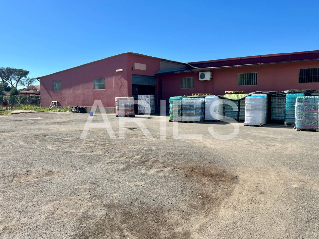 Capannone in affitto a Roma