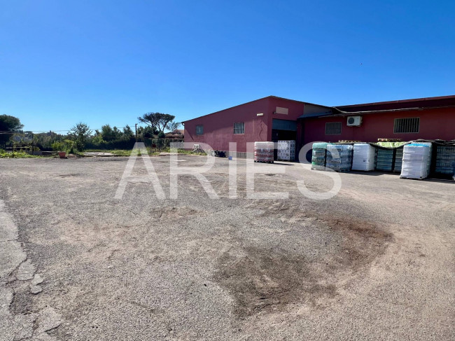 Capannone in affitto a Roma