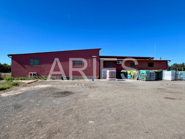 Capannone in affitto a Roma