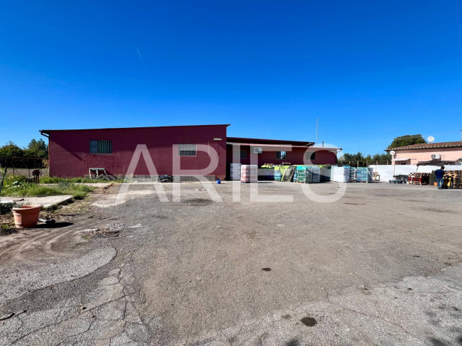 Capannone in affitto a Roma