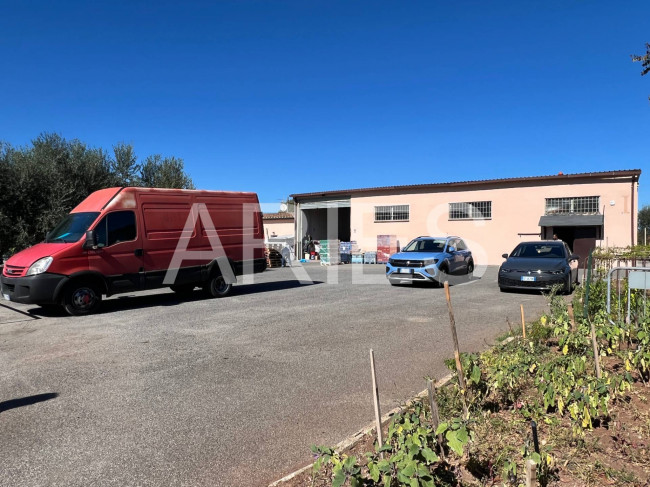 Capannone in affitto a Roma