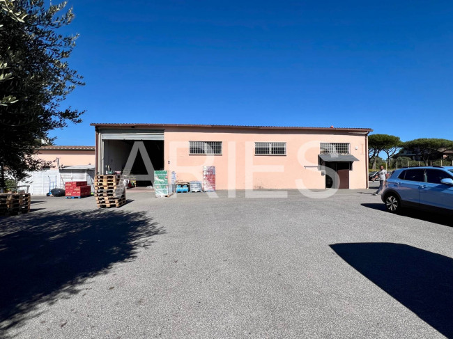 Capannone in affitto a Roma