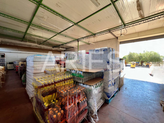 Capannone in affitto a Roma