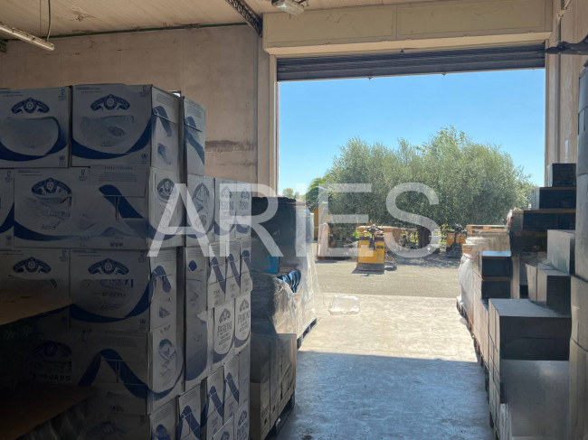 Capannone in affitto a Roma