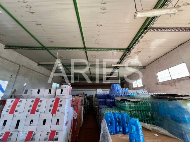 Capannone in affitto a Roma