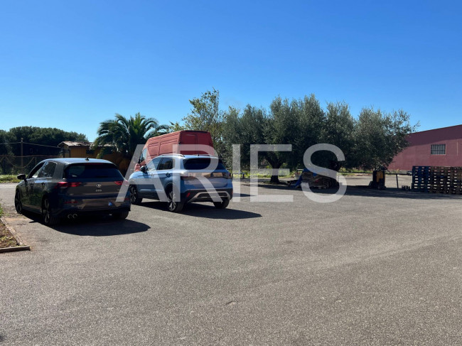 Capannone in affitto a Roma