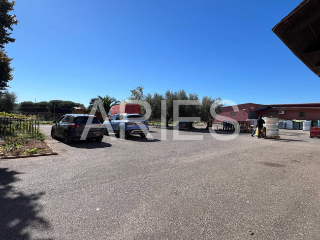 Capannone in affitto a Roma