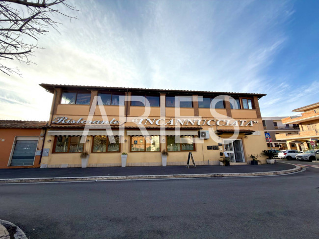 Attività commerciale in vendita a Fiumicino