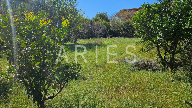 Terreno Agricolo in vendita a Roma
