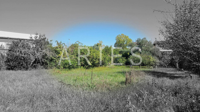 Terreno Agricolo in vendita a Roma