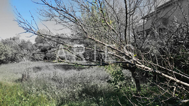 Terreno Agricolo in vendita a Roma