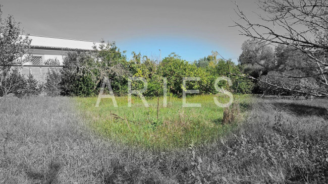 Terreno Agricolo in vendita a Roma