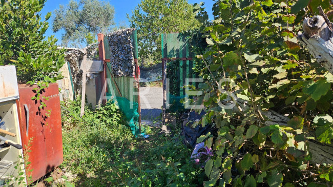 Terreno Agricolo in vendita a Roma