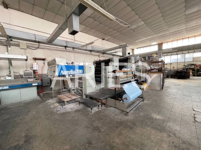 Capannone in vendita a Ciampino