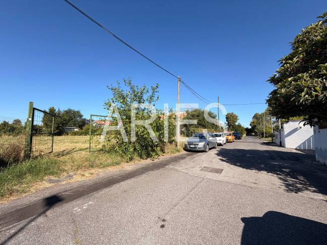 Terreno Agricolo in vendita a Roma
