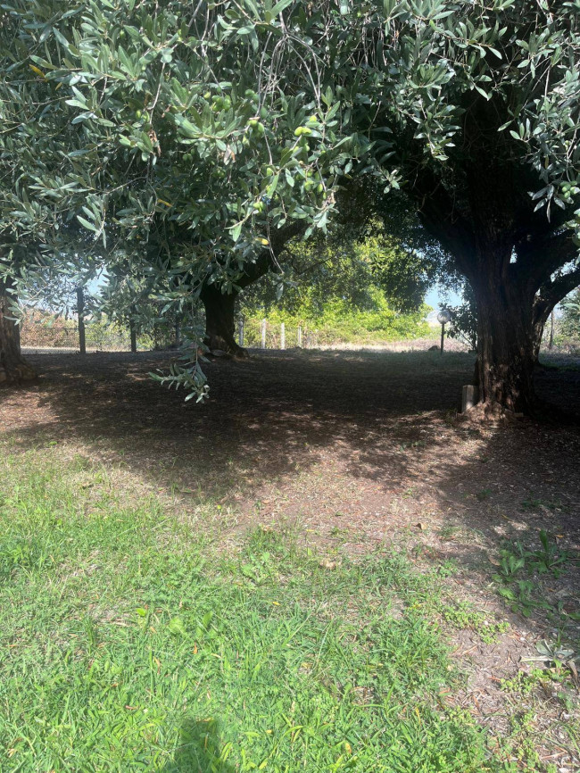 Villa in vendita a Guidonia Montecelio (RM)