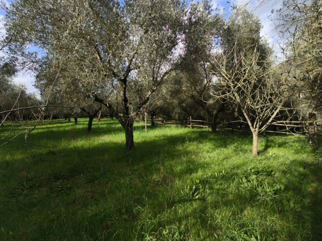 Villa in vendita a Cisterna di Latina