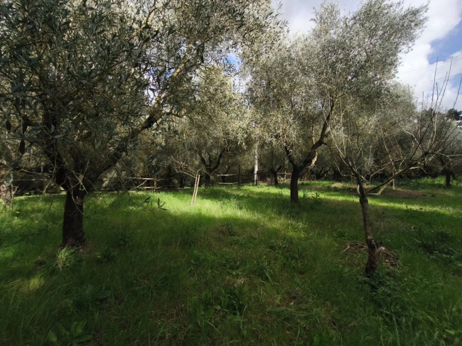Villa in vendita a Cisterna di Latina