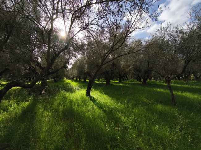 Villa in vendita a Cisterna di Latina