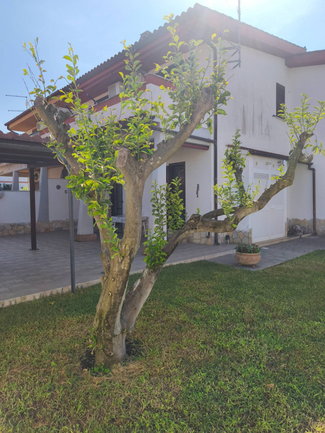 Villette a schiera in vendita a Anzio