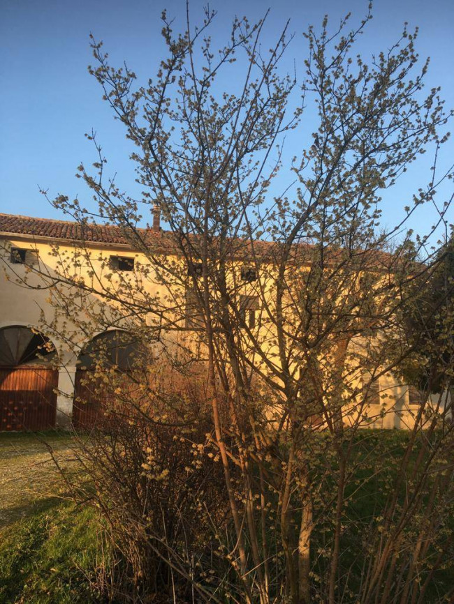 Rustico in vendita a Padova