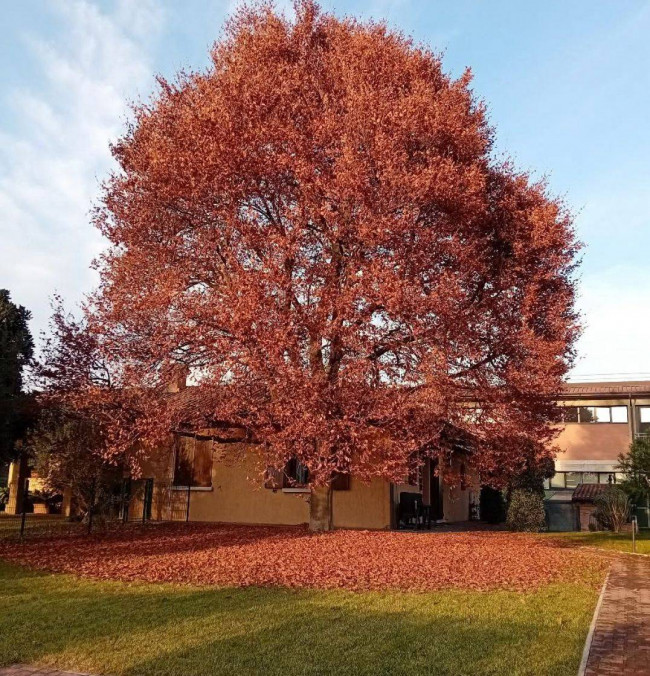Villa in vendita a Inzago