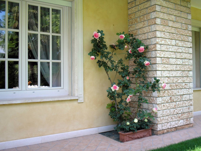 Villa in vendita a Selvazzano Dentro