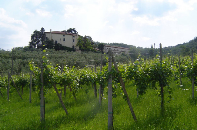 Villa in vendita a Galzignano Terme