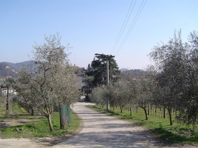 Villa in vendita a Galzignano Terme