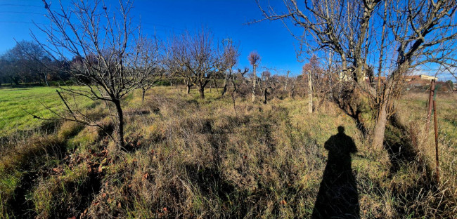 fabbricato in vendita a Foiano della Chiana