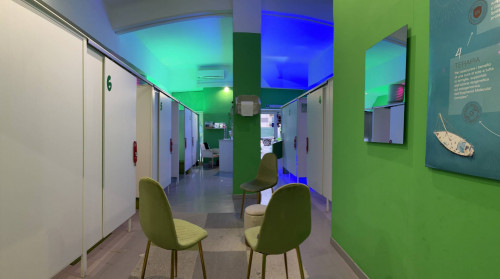 Attività commerciale in vendita a Savona