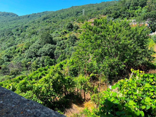 Rustico in vendita a Vezzi Portio