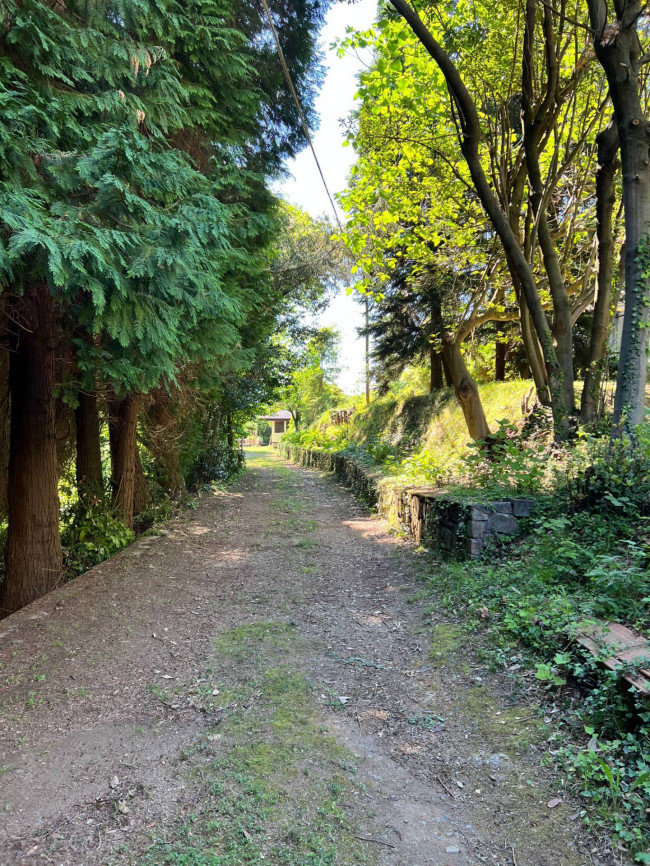 Indipendente in vendita a Savona