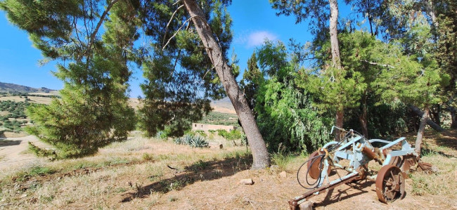 Terreno Agricolo in vendita a Sclafani Bagni