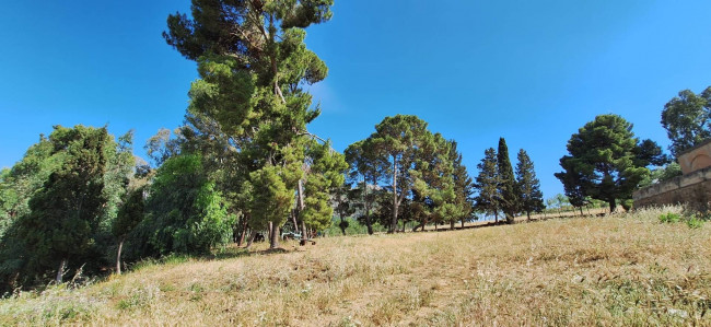 Terreno Agricolo in vendita a Sclafani Bagni