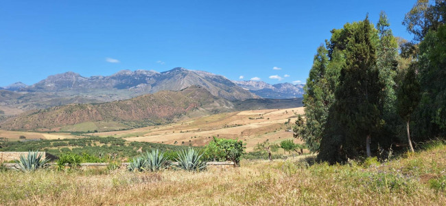 Terreno Agricolo in vendita a Sclafani Bagni