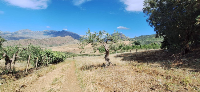 Terreno Agricolo in vendita a Sclafani Bagni