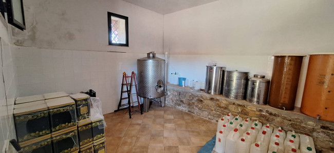 Terreno Agricolo in vendita a Sclafani Bagni
