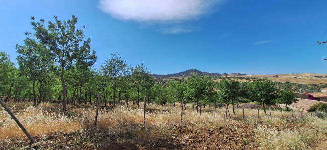 Terreno Agricolo in vendita a Sclafani Bagni