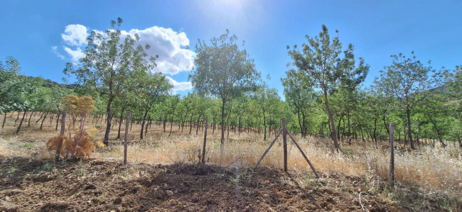 Terreno Agricolo in vendita a Sclafani Bagni