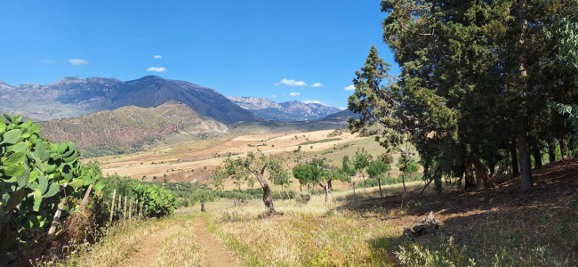 Terreno Agricolo in vendita a Sclafani Bagni