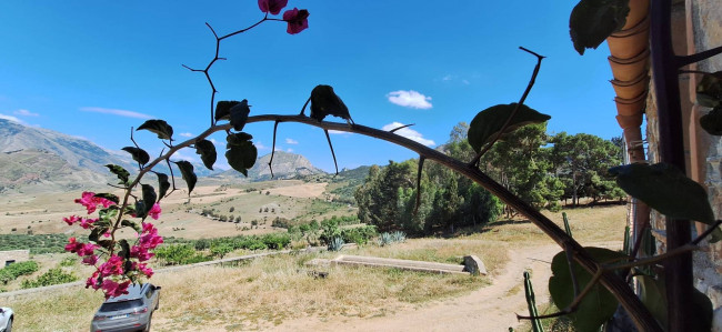 Terreno Agricolo in vendita a Sclafani Bagni