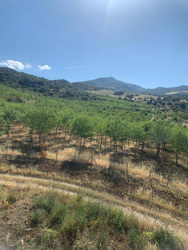 Terreno Agricolo in vendita a Sclafani Bagni