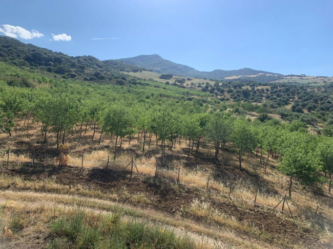 Terreno Agricolo in vendita a Sclafani Bagni
