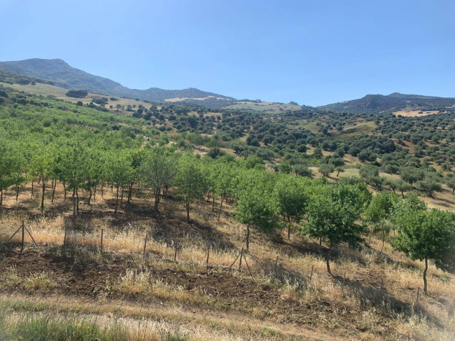 Terreno Agricolo in vendita a Sclafani Bagni