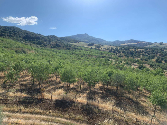 Terreno Agricolo in vendita a Sclafani Bagni