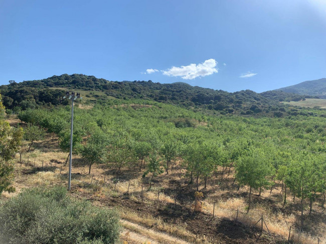 Terreno Agricolo in vendita a Sclafani Bagni