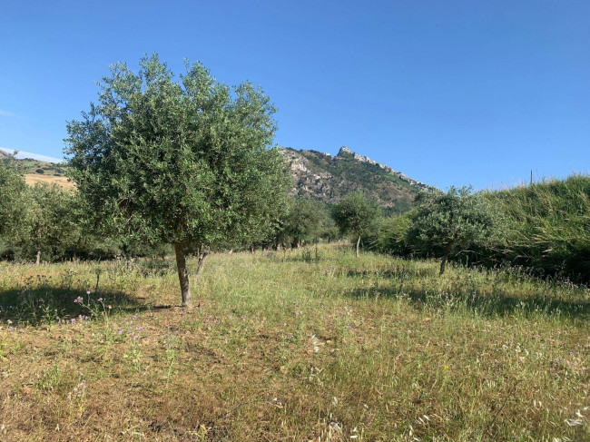 Terreno Agricolo in vendita a Sclafani Bagni