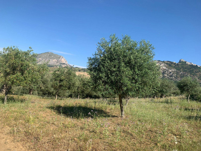 Terreno Agricolo in vendita a Sclafani Bagni